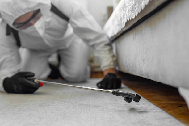 Professional Pest Control technician working in Rolette County County, ND